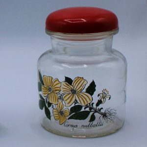 Vintage / Retro glazen voorraadpot