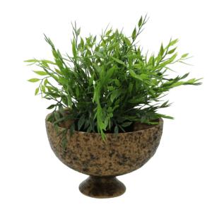 Vintage Berkenbast Pot op Voet